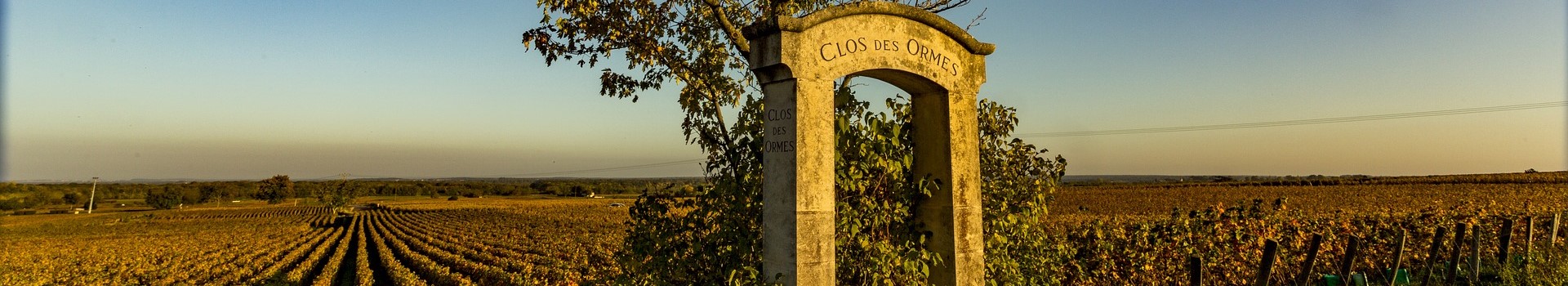 COTE DE NUITS